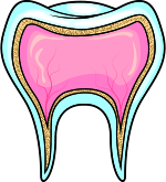 03.Children Dentistry